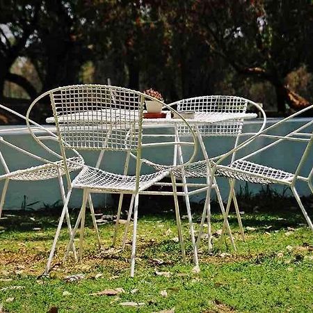 Hot Spring Bungalow In Limpopo Gemsbokfontein Zewnętrze zdjęcie