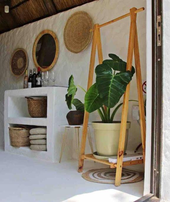Hot Spring Bungalow In Limpopo Gemsbokfontein Zewnętrze zdjęcie
